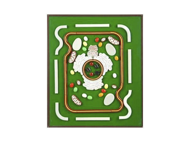 item_1851