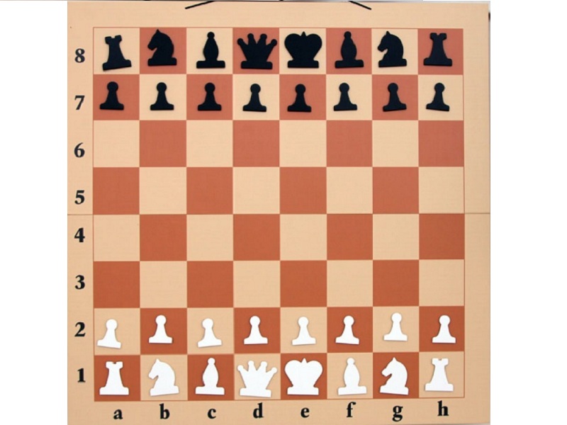 item_10784