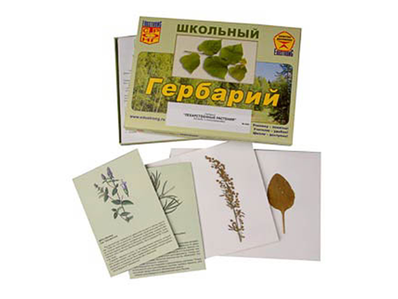 item_1795